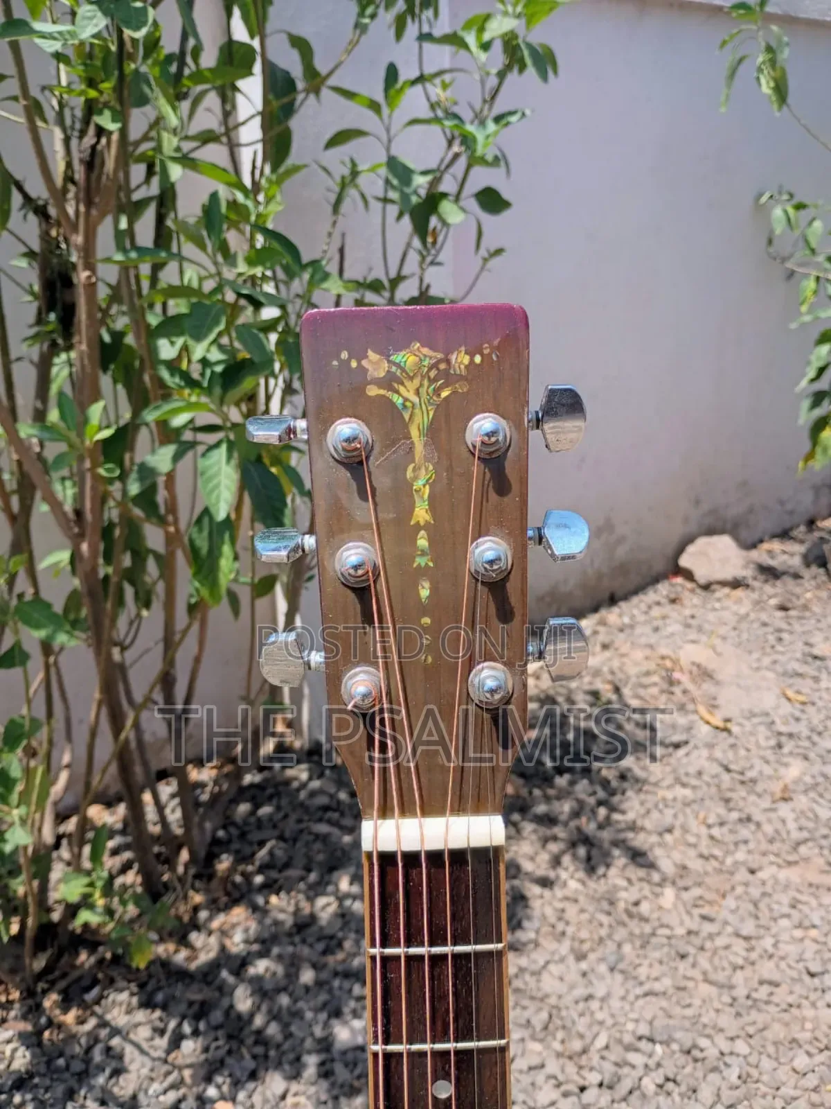 Aria Adl-01bs Acoustic Guitar