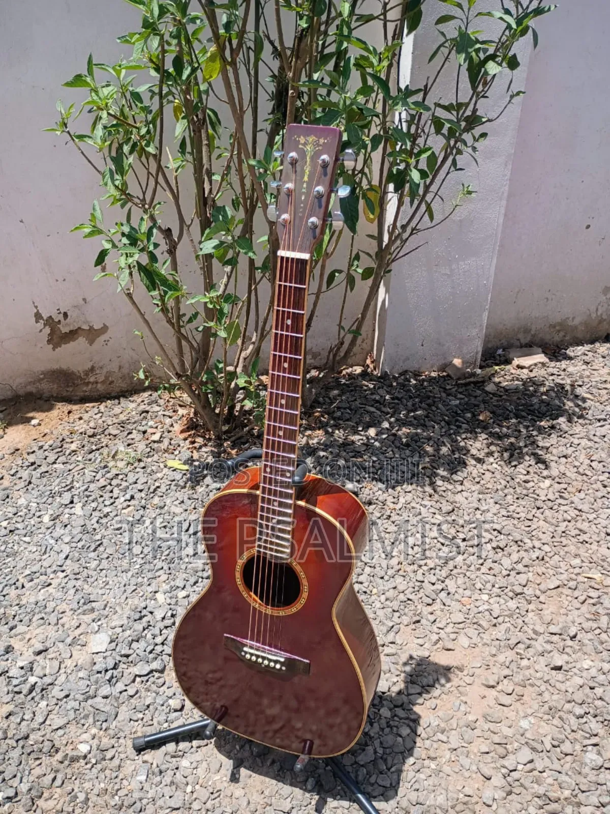 Aria Adl-01bs Acoustic Guitar