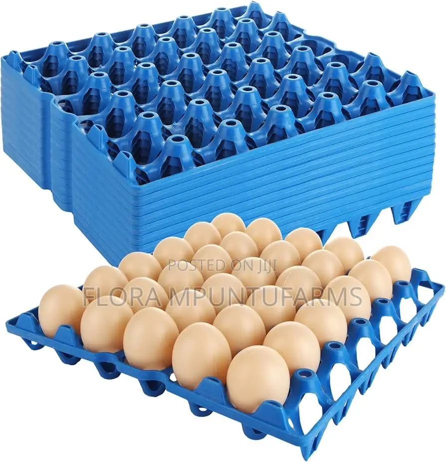 Plastic Egg Crates