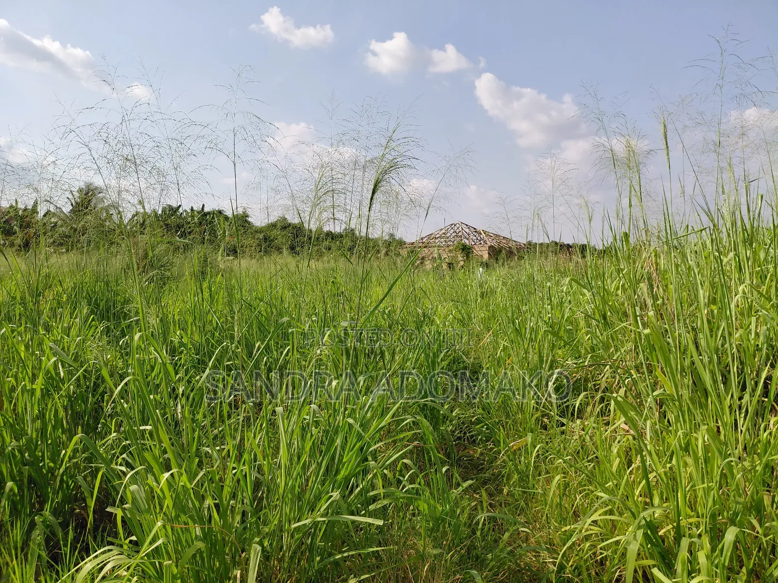 Litigation Free Full Plot Forsale at Emena Apemso Near Deduako