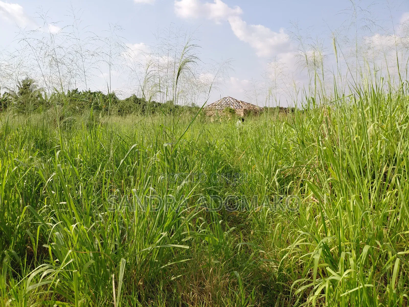 Litigation Free Full Plot Forsale at Emena Apemso Near Deduako
