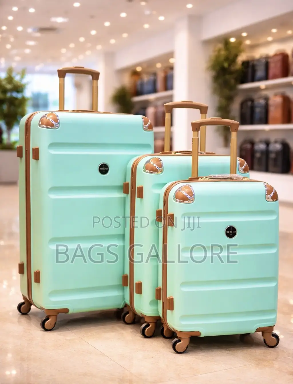 Nice Color Luggage