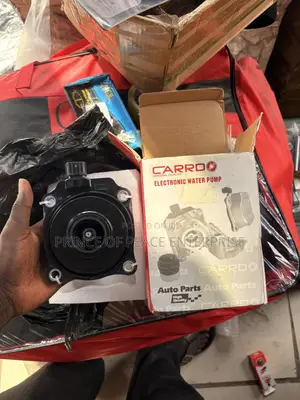 Toyota Rav4 2019 2020 2021 Water Pump Electronics Type