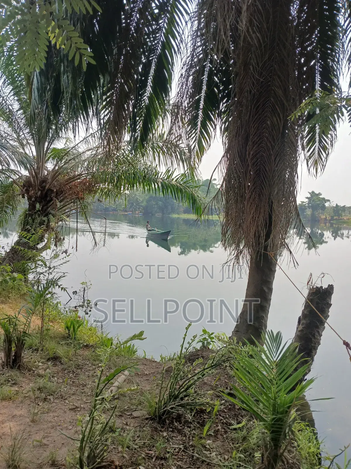 Complete Independent Island for Sale