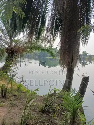 Complete Independent Island for Sale