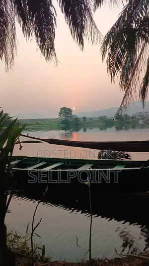Complete Independent Island for Sale