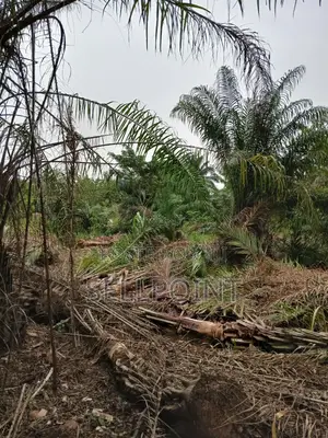 Complete Independent Island for Sale