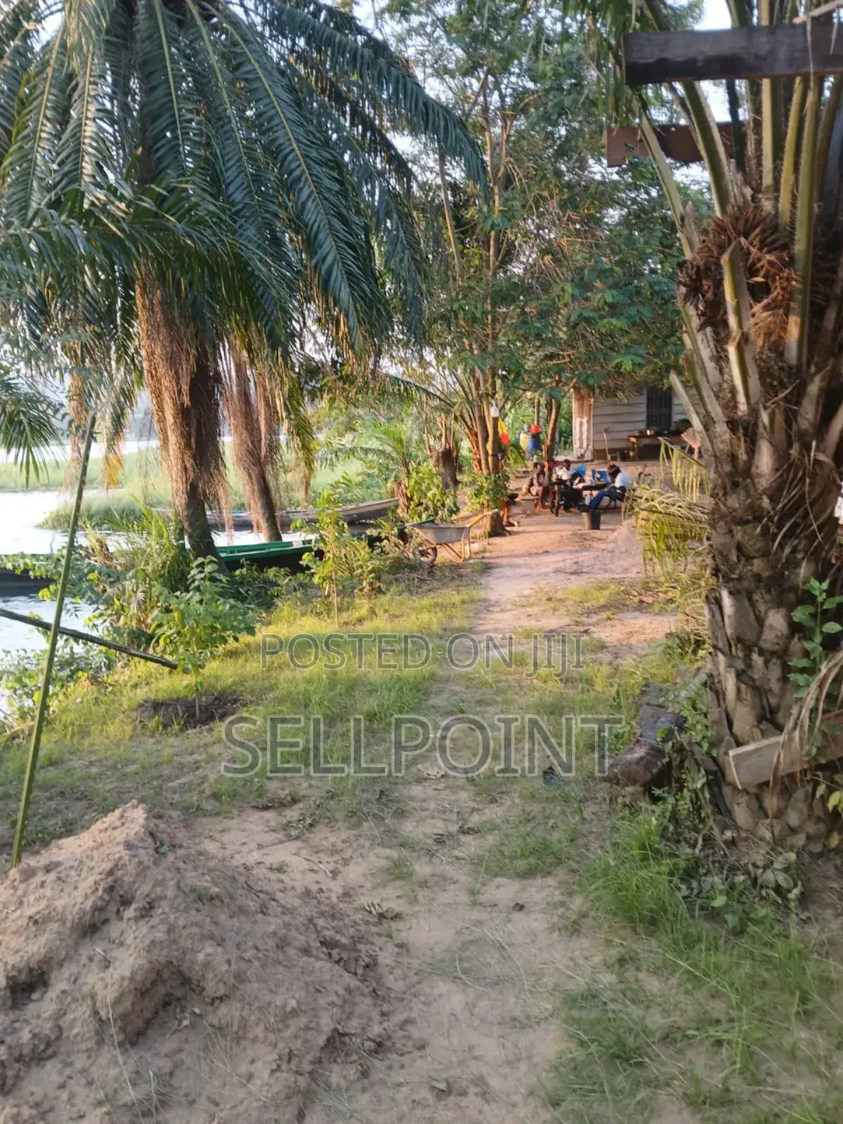 Complete Independent Island for Sale