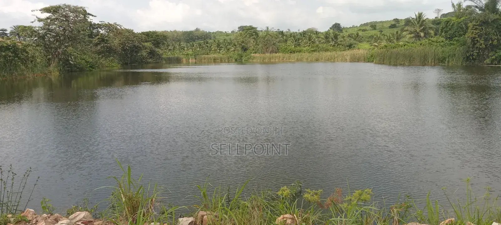 Complete Independent Island for Sale