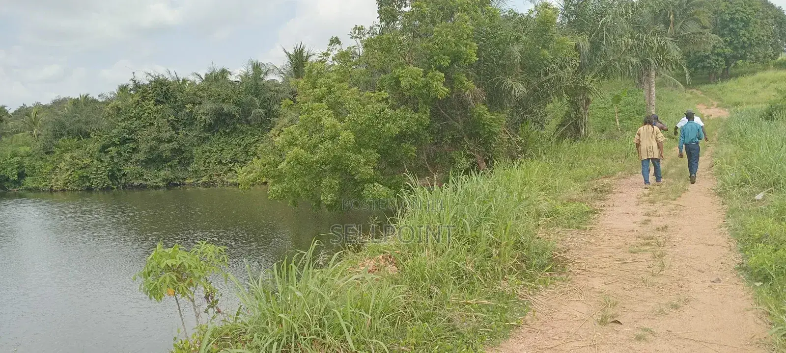 Complete Independent Island for Sale
