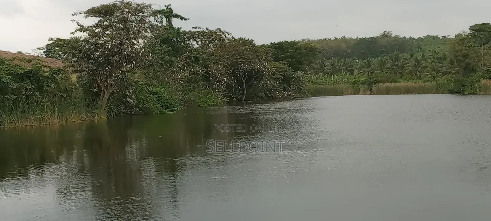 Complete Independent Island for Sale