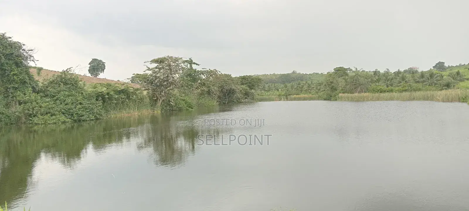 Complete Independent Island for Sale