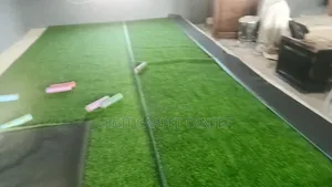 Grass Carpet For Church Homes School And Events Centers