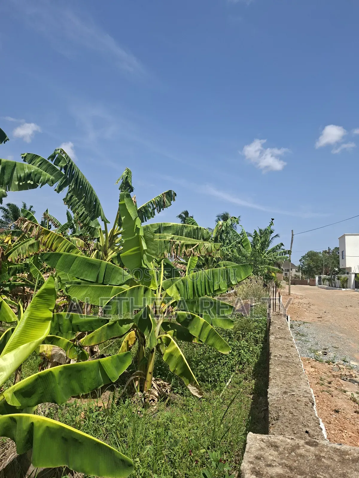 Land for Sale at Adenta Roman