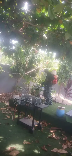 Standard Fumigation Service