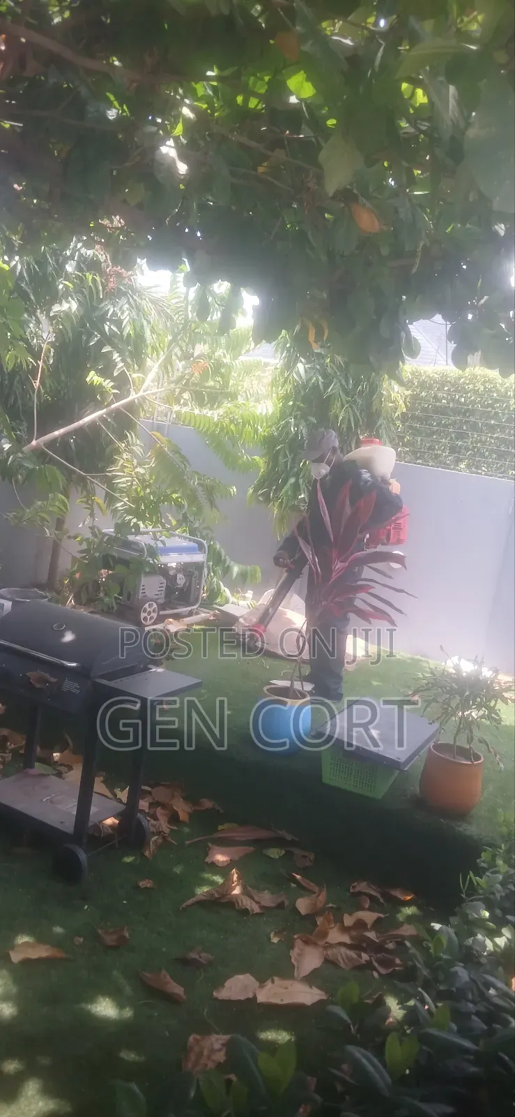 Standard Fumigation Service