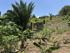 Hill Top Plots for Residential Building