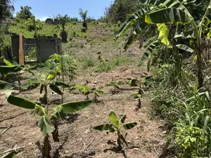 Hill Top Plots for Residential Building