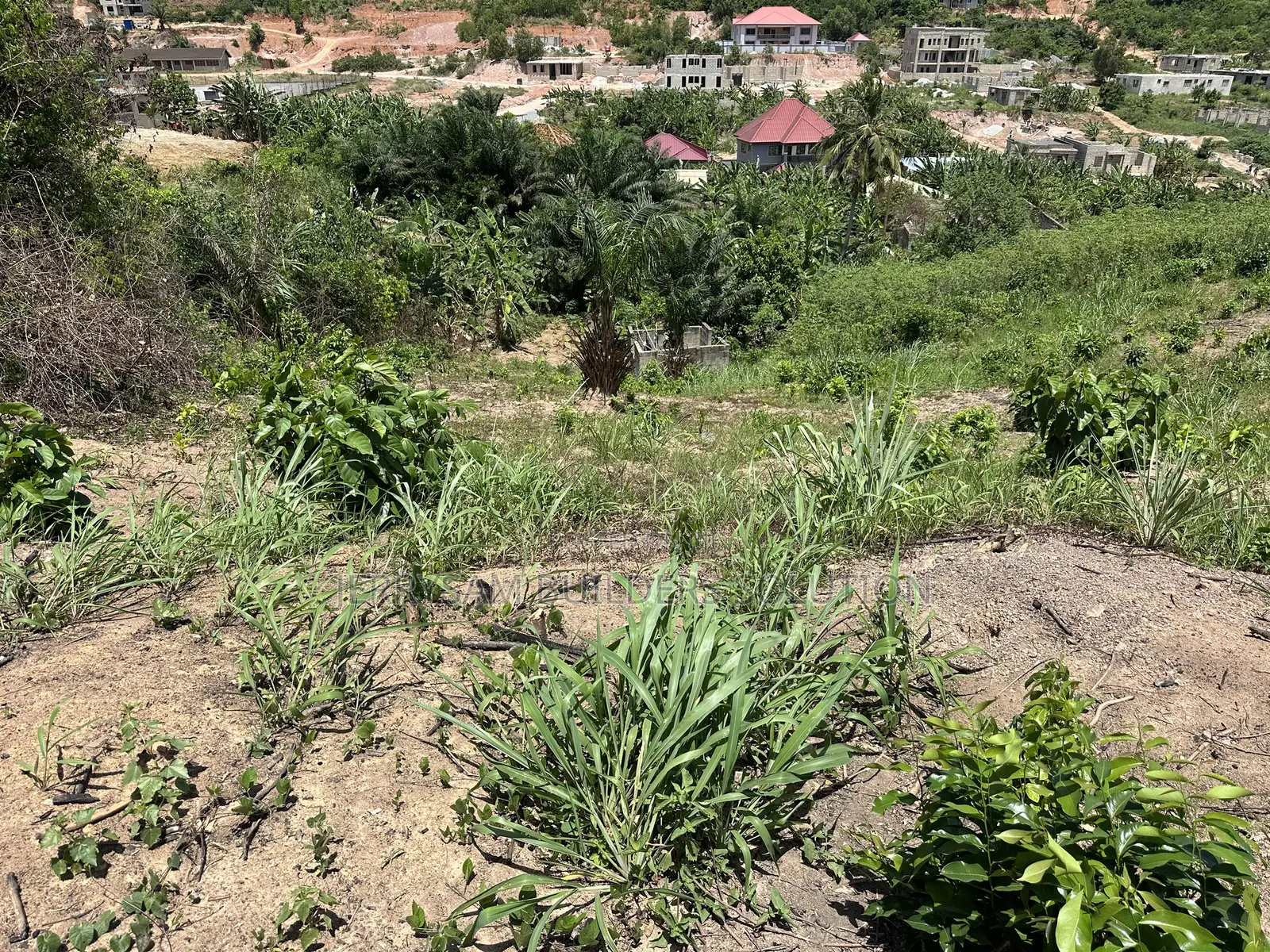 Hill Top Plots for Residential Building