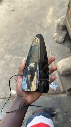 BMW Antenna Replacement