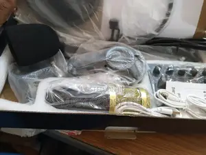 Professional Condenser Microphone