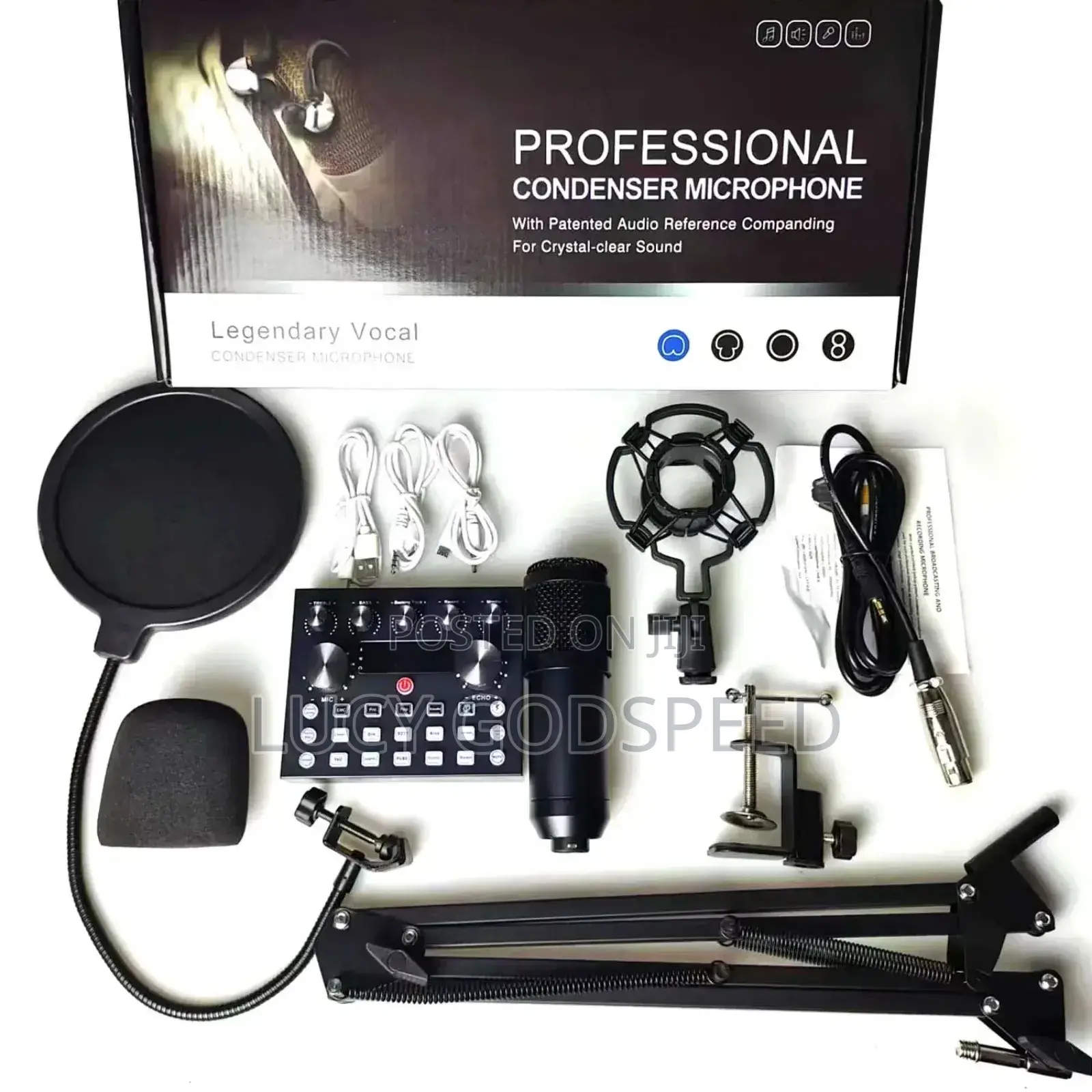 Professional Condenser Microphone