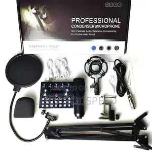 Professional Condenser Microphone