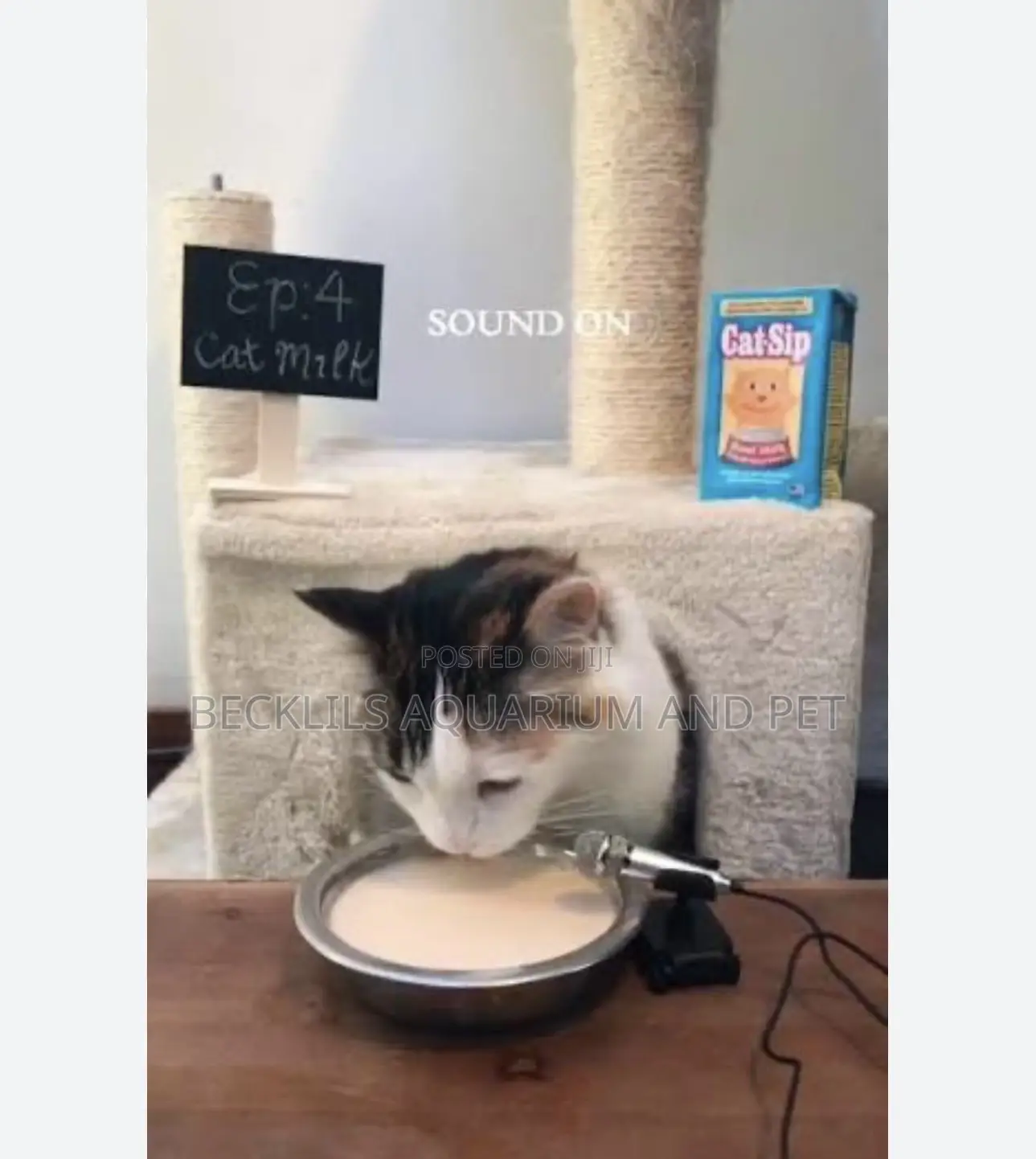 Catsip Milk for Kitten