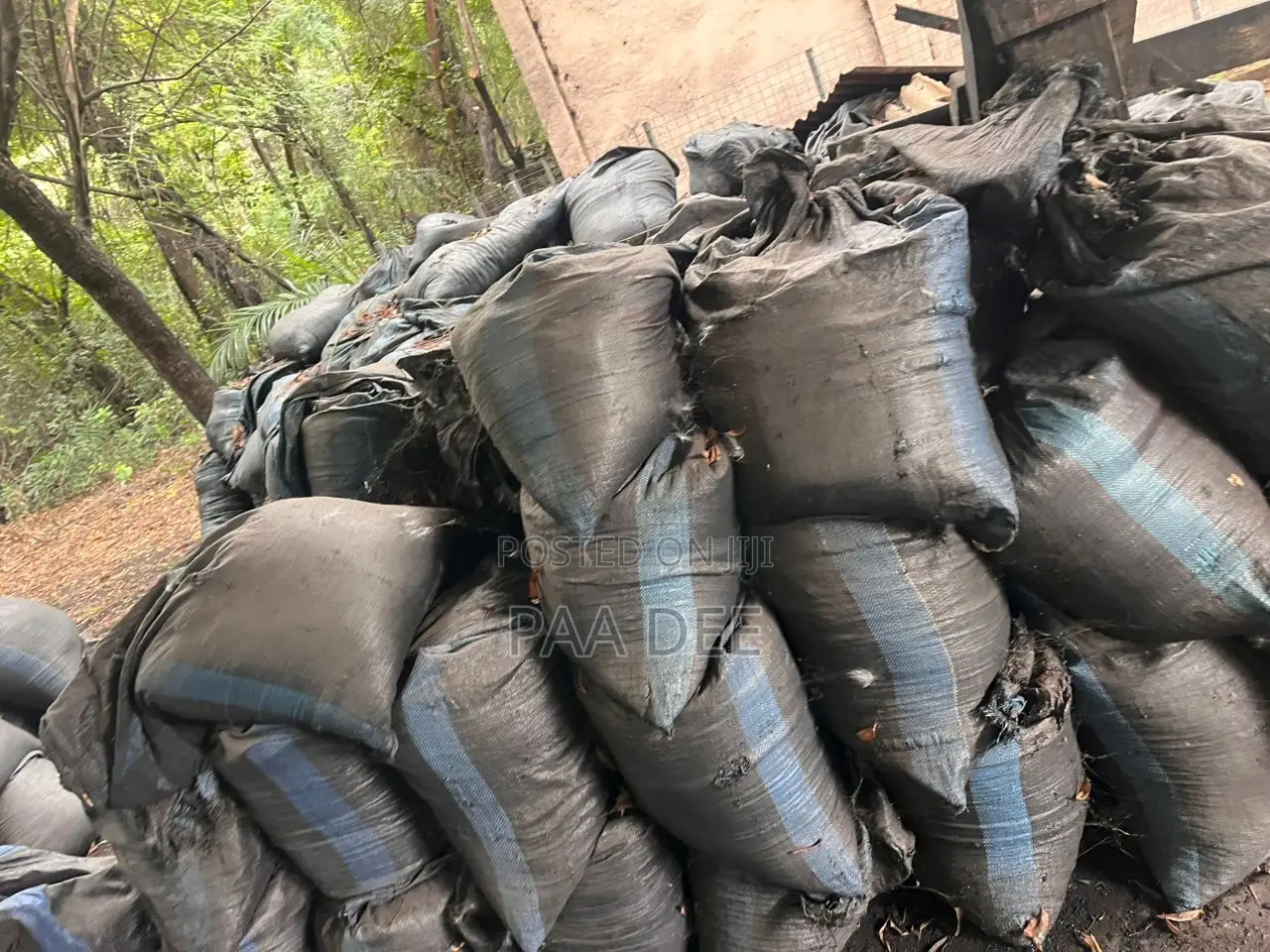 Coconut Charcoal