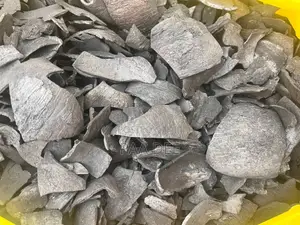 Coconut Charcoal