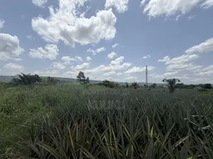 Aburi-Pokrom-Amanfrom Land