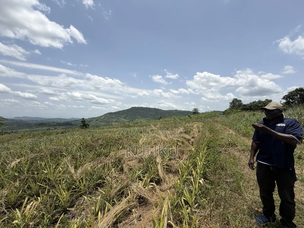 Aburi-Pokrom-Amanfrom Land