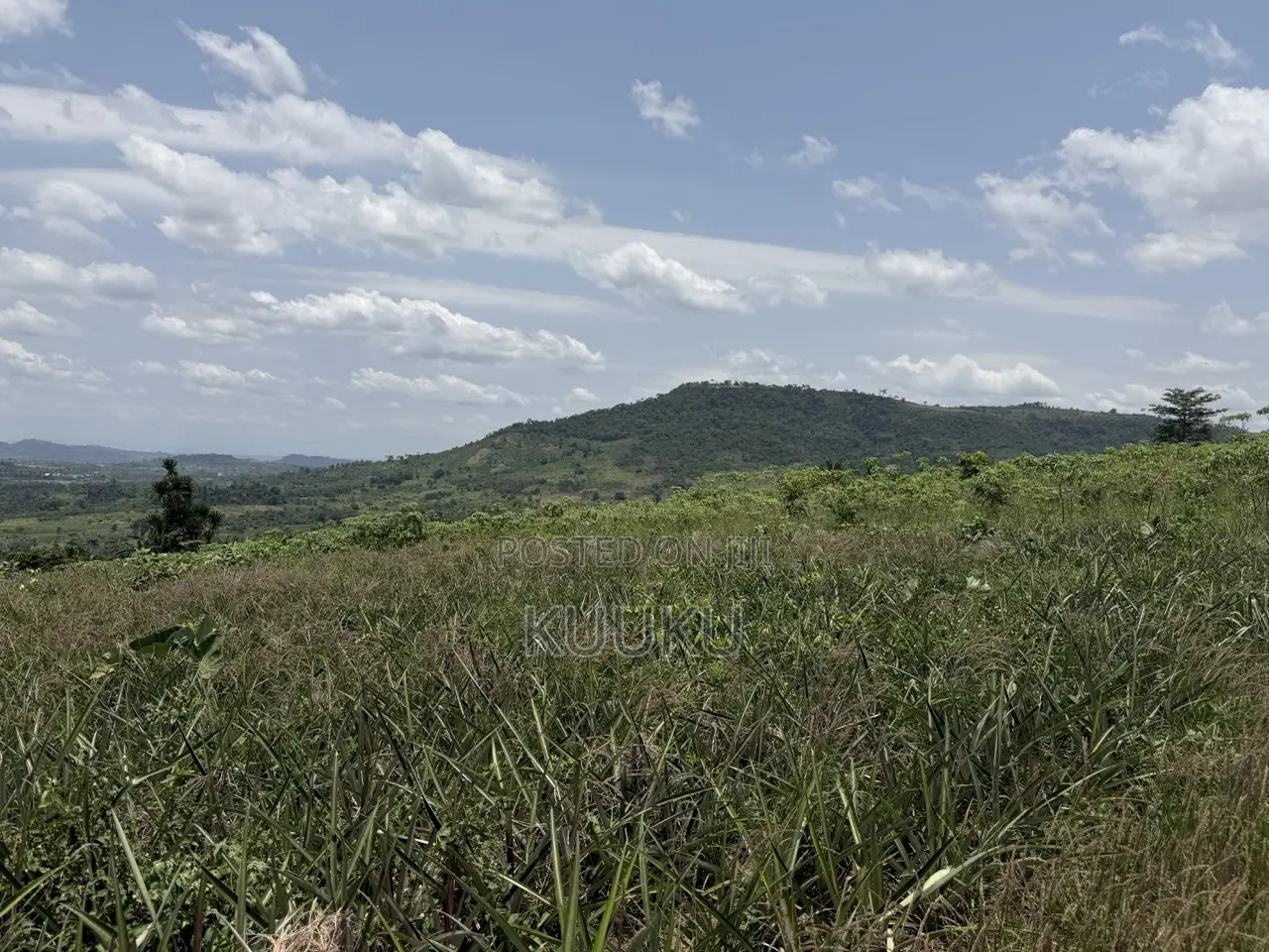Aburi-Pokrom-Amanfrom Land