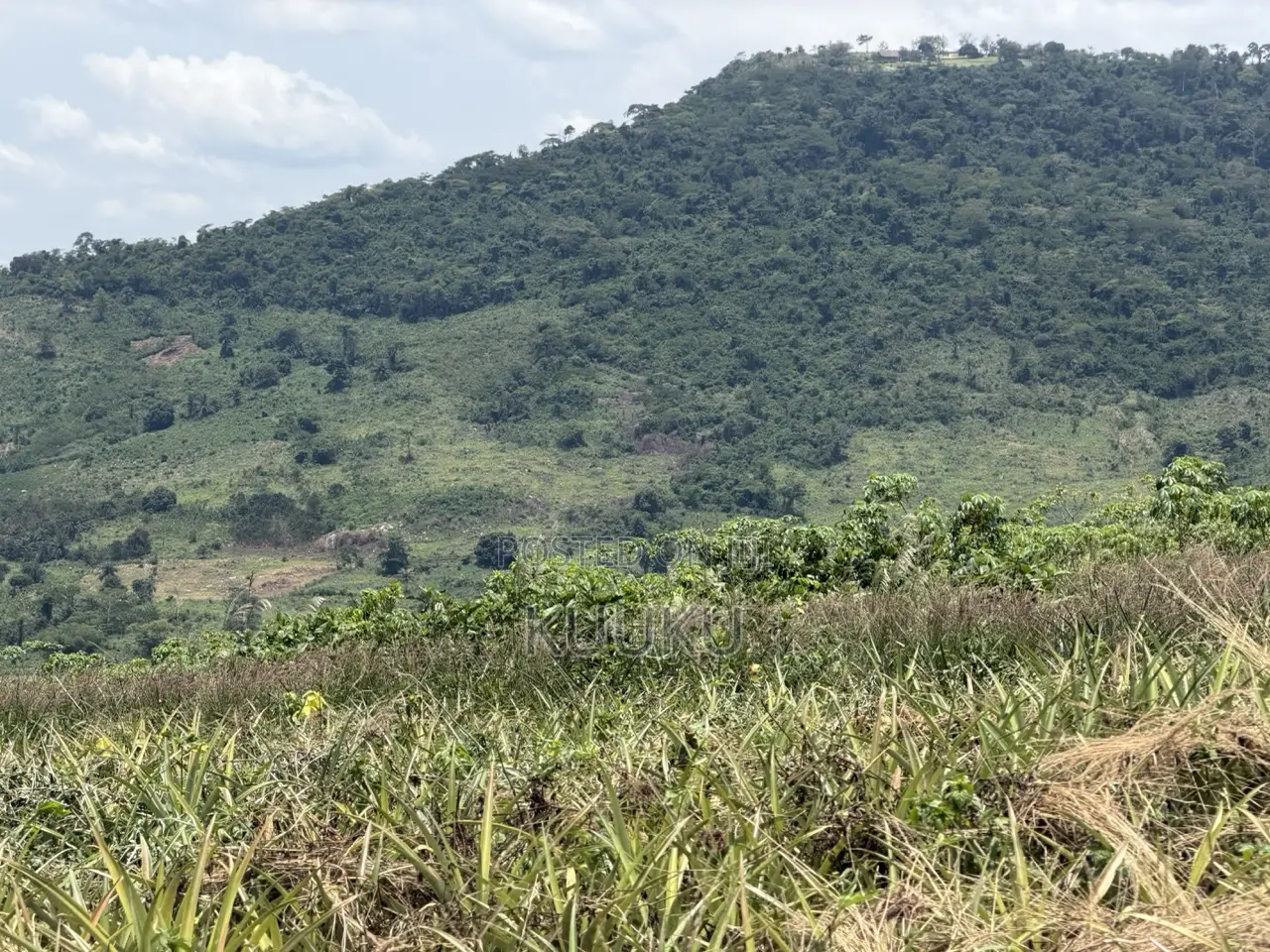 Aburi-Pokrom-Amanfrom Land