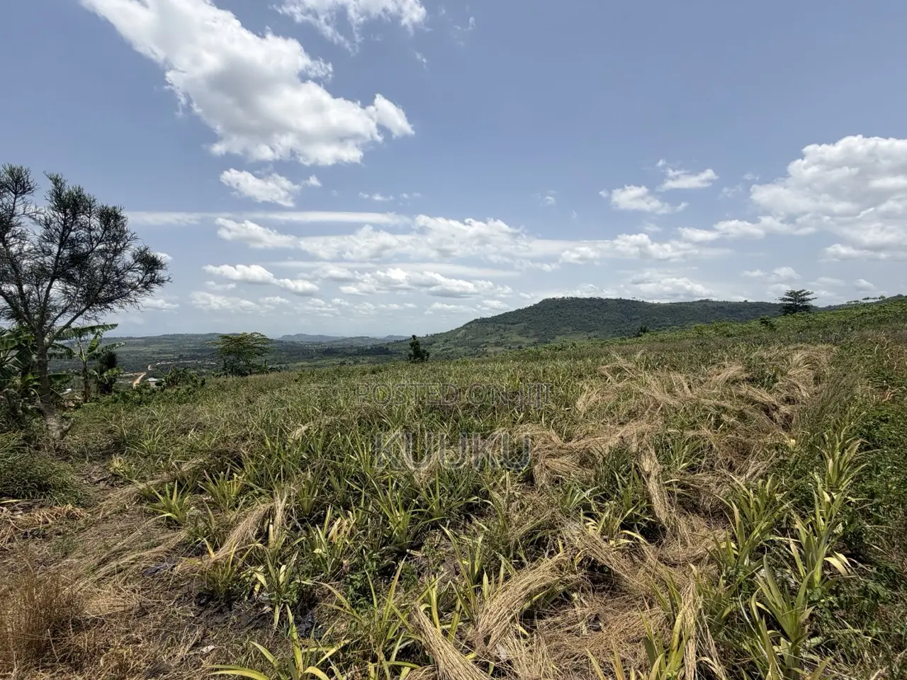 Aburi-Pokrom-Amanfrom Land