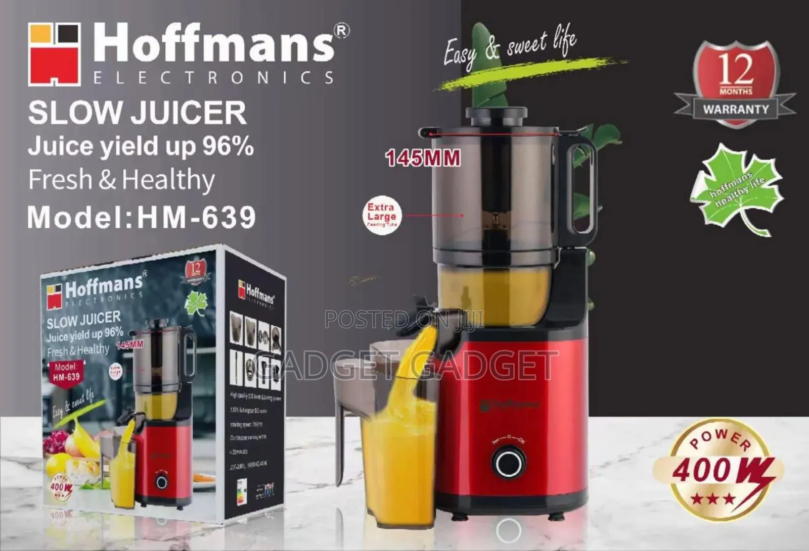 300w Fruit Juicer / Extractor Nutrients Preserving