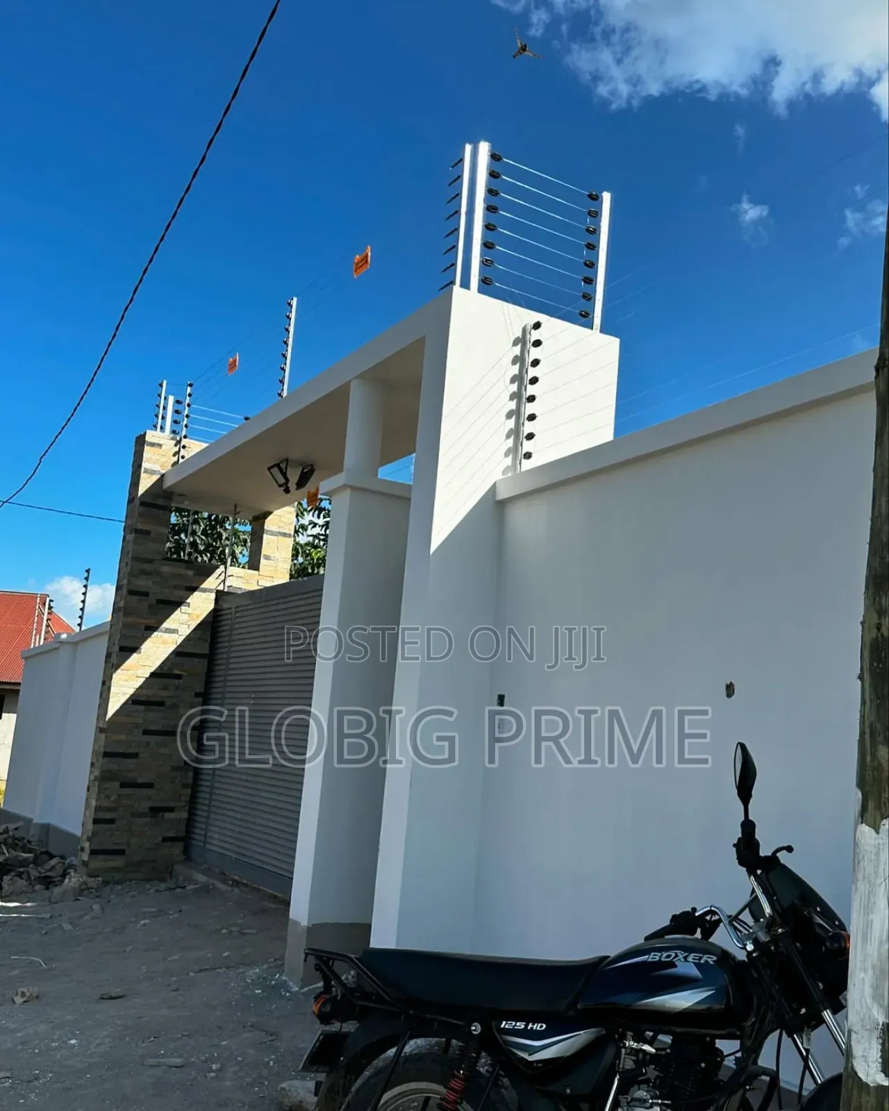 Security Electric Fencing Amd CCTV