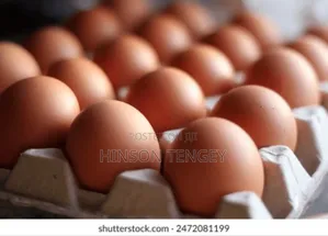 Natural Eggs