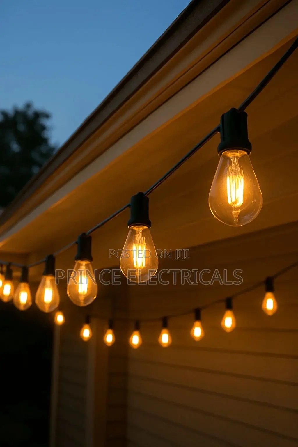 10m Bar/Temple Rope Light