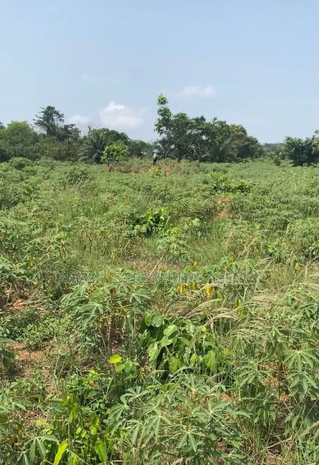 2 Plots of Land for Sale at Lashibi, Emefs