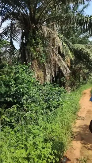 Farm Land For Sell At Cool Price