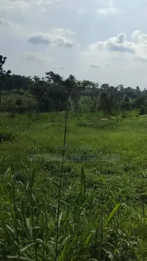 Farm Land For Sell At Cool Price