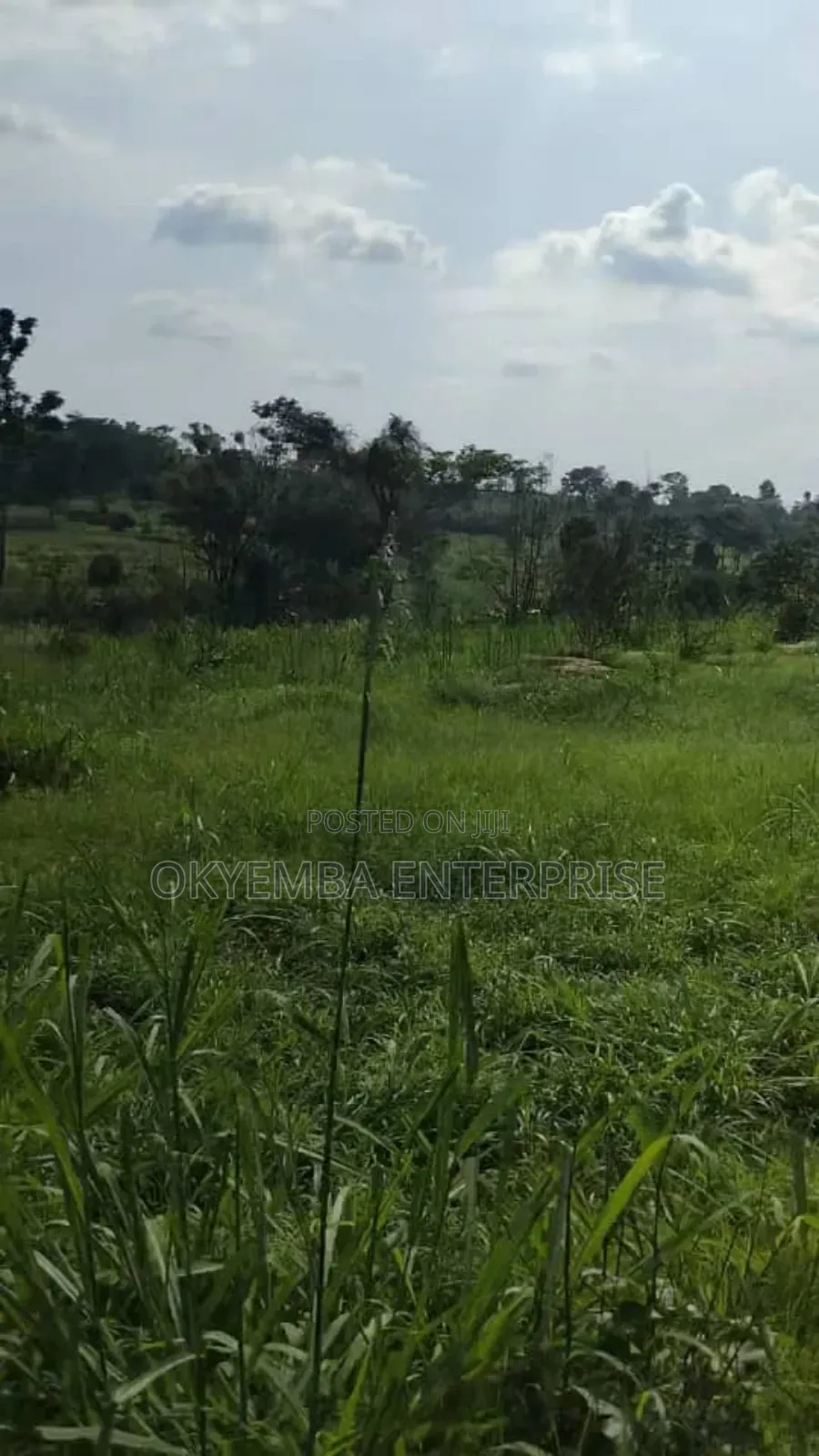 Farm Land For Sell At Cool Price