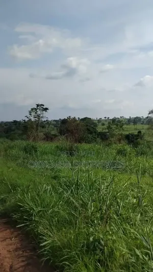 Farm Land For Sell At Cool Price