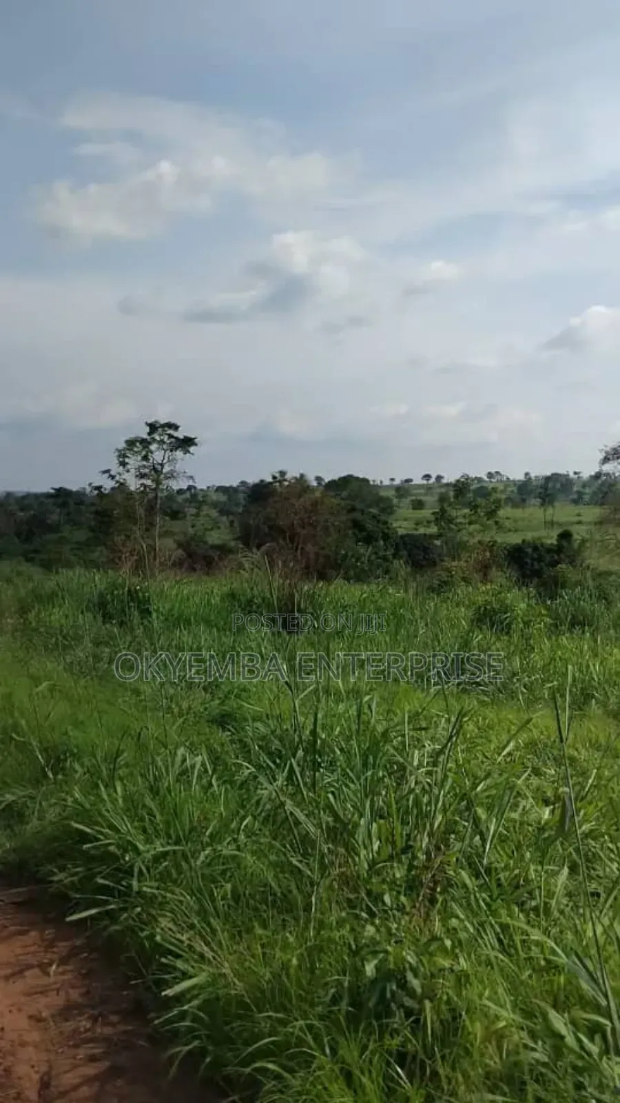 Farm Land For Sell At Cool Price