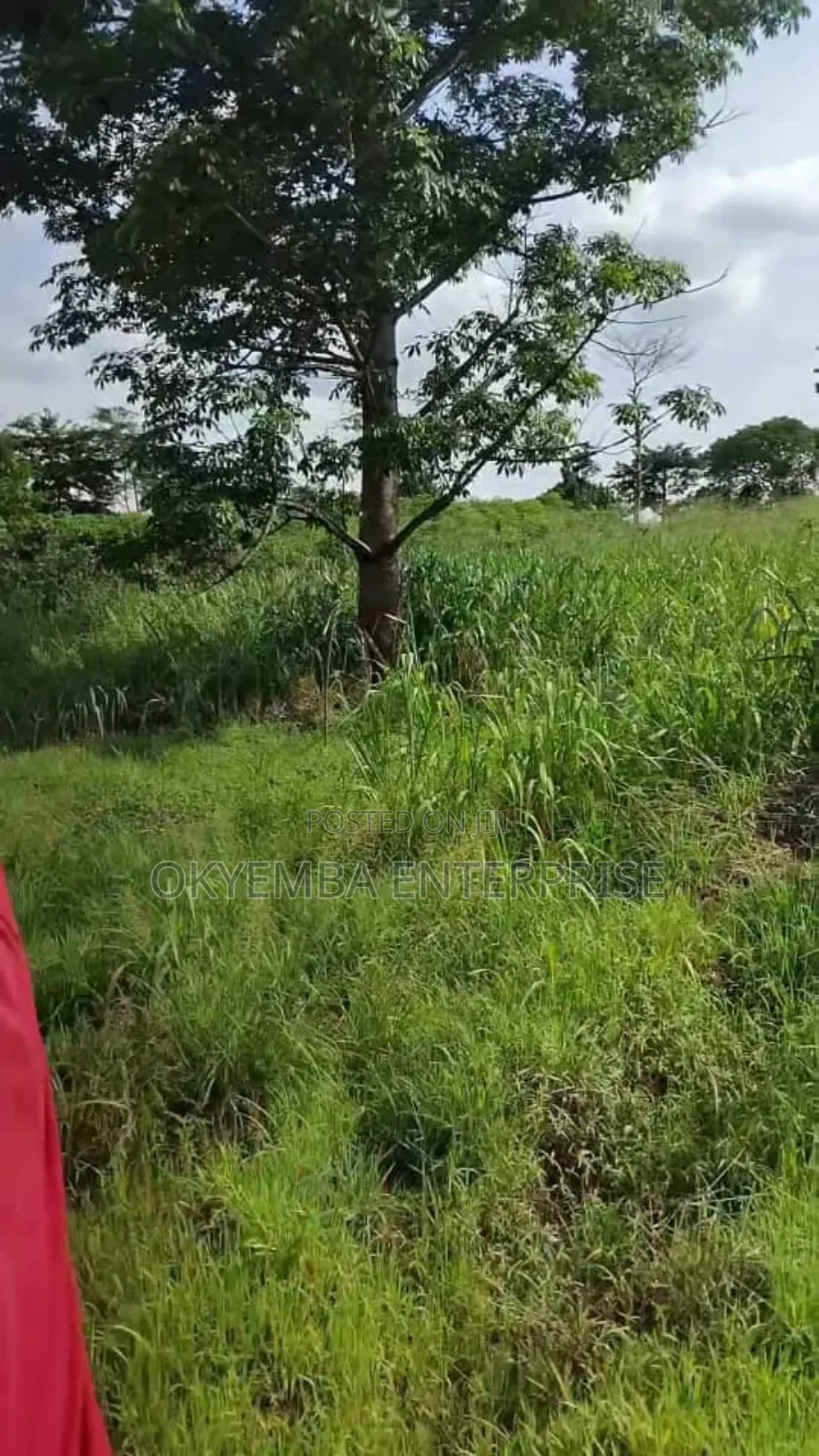 Farm Land For Sell At Cool Price