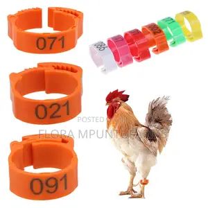 Chicken Leg Tags