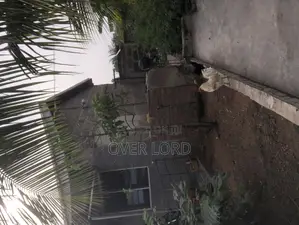 Local Chickens