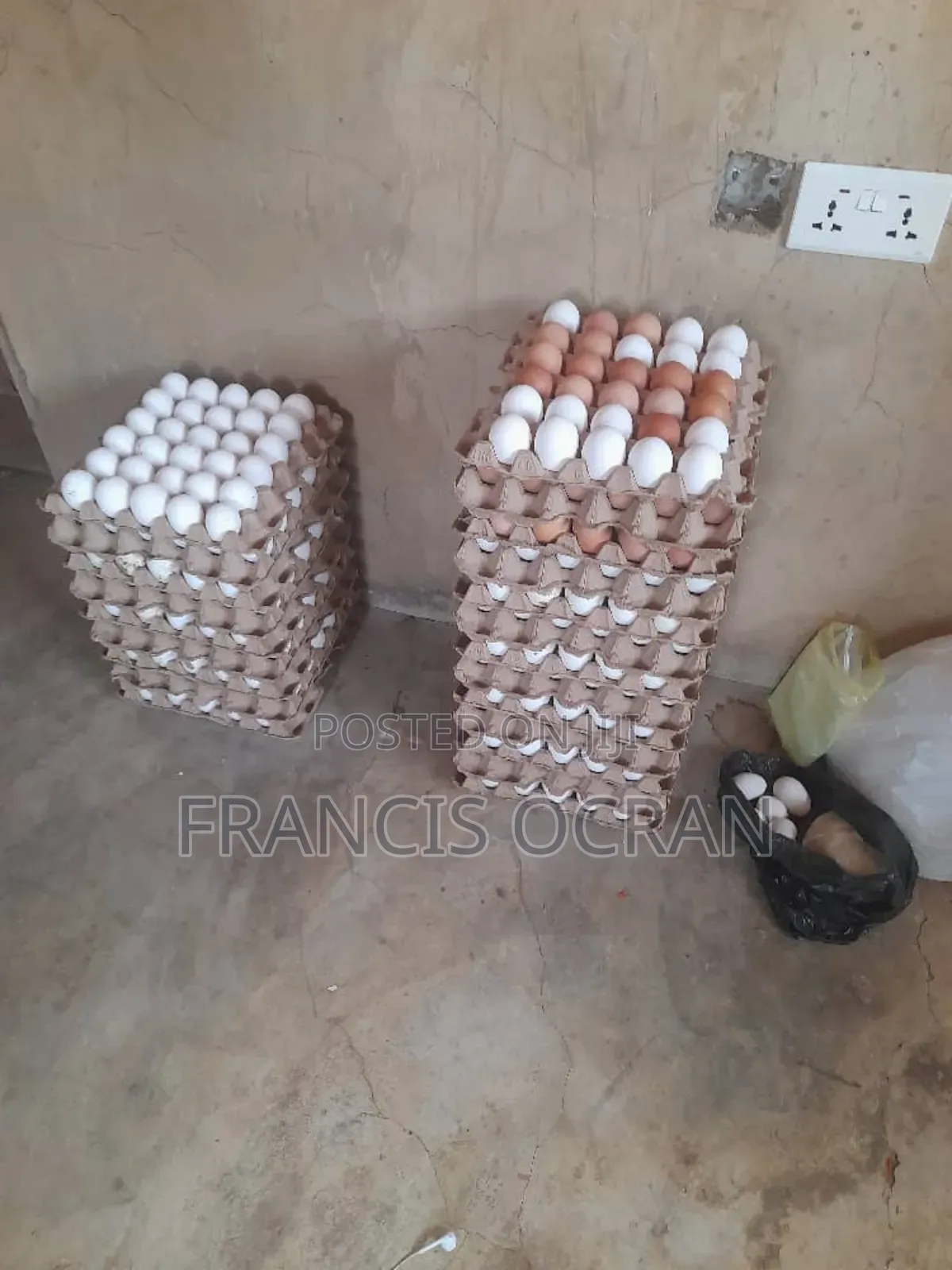 Eggs for Sale