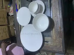 20 Pieces Dinner Set